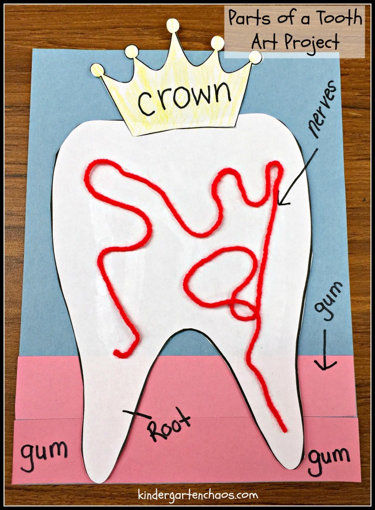 Parts of a Tooth Art Project