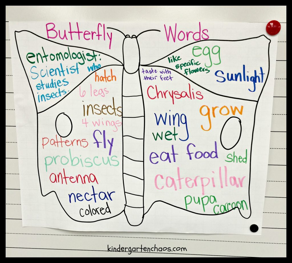 KWL Butterfly Words Anchor Chart - kindergartenchaos.com