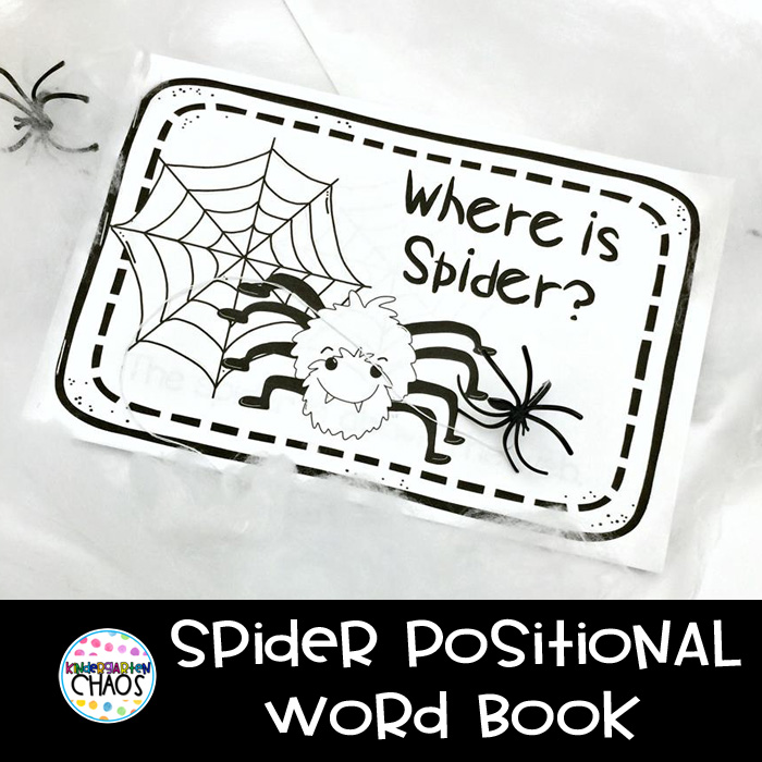 Spider Positional Word Book