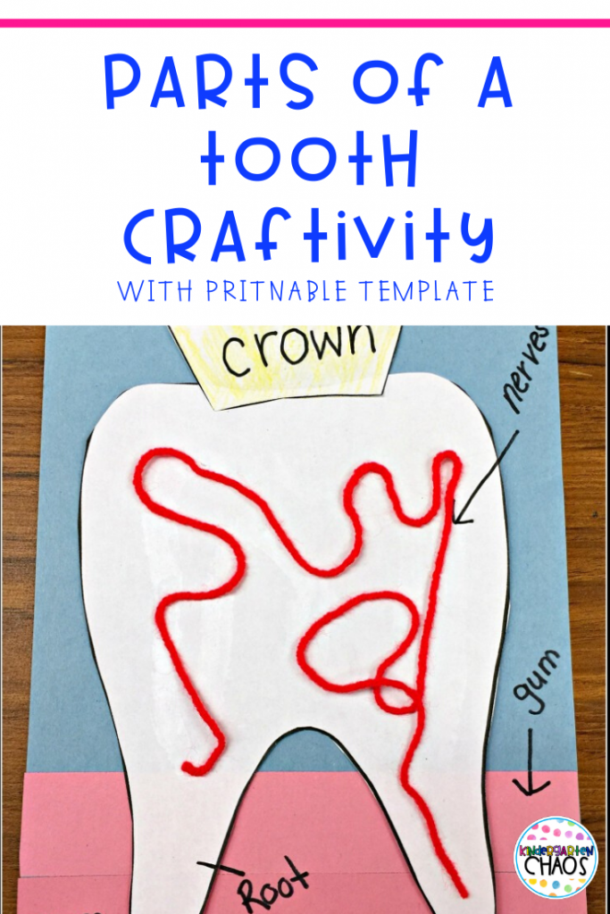 A Parts Of The Tooth Craftivity for dental health week in elementary school. Kids will enjoy labeling, gluing, cutting and more while learning about each part of the tooth. #kindergartenteacher #learningprintable #dentalhealthmonth #partsofatooth