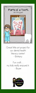 Printable An Art Project To Teach Students The Parts Of A Tooth