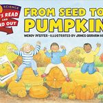 From Seed to Pumpkin Book - Kindergarten Chaos