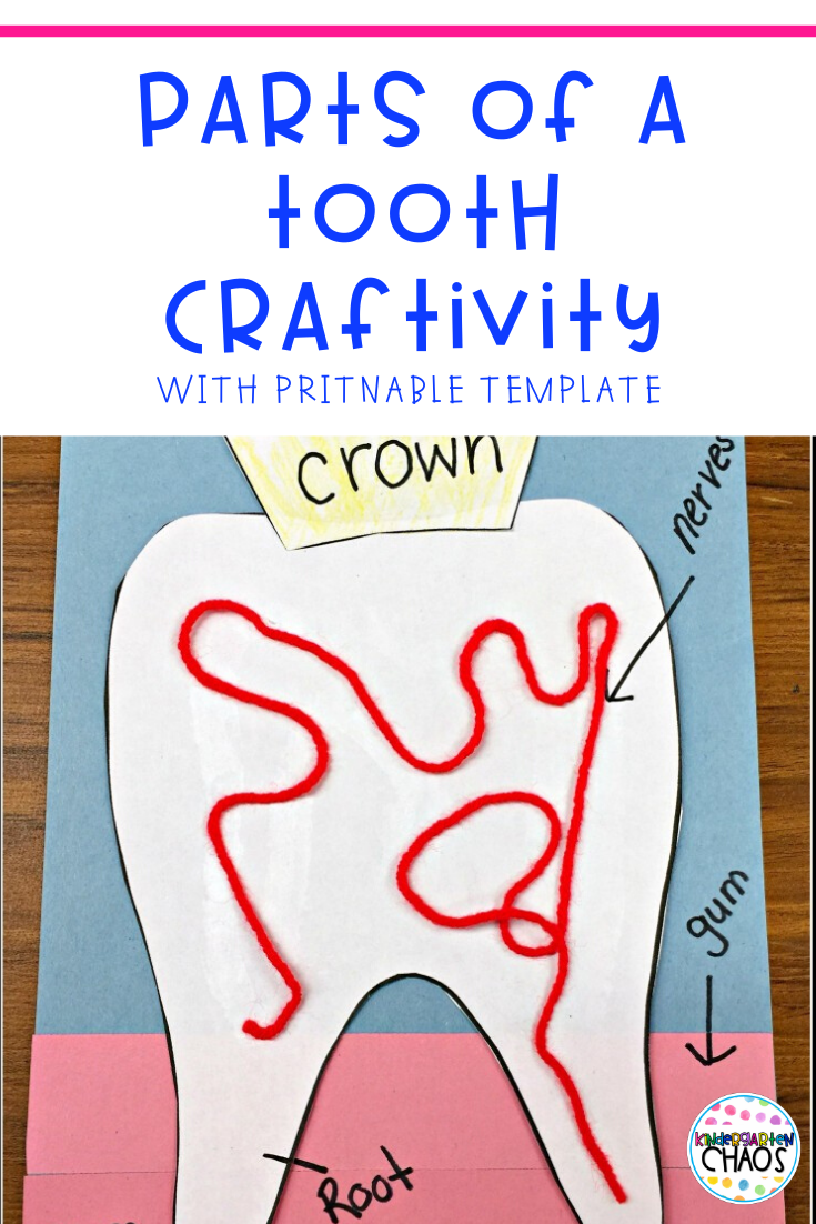 Parts of A Tooth Printable Craftivity For A Dental Health Unit