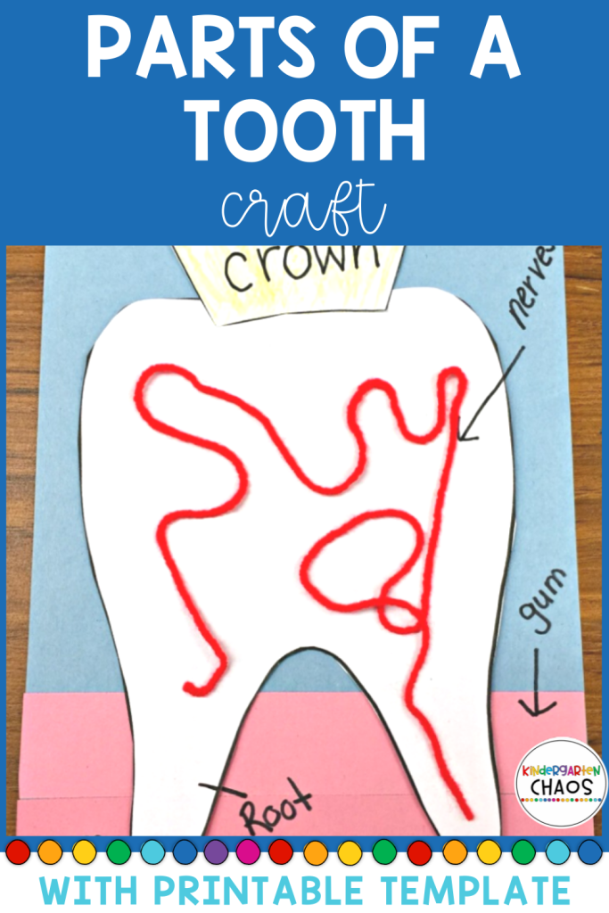 A Parts Of The Tooth Craftivity for dental health week in elementary school. Kids will enjoy labeling, gluing, cutting and more while learning about each part of the tooth. #kindergartenteacher #learningprintable #dentalhealthmonth #partsofatooth