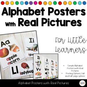 Alphabet Posters with Real Non-Fiction Pictures - Short Long Vowel